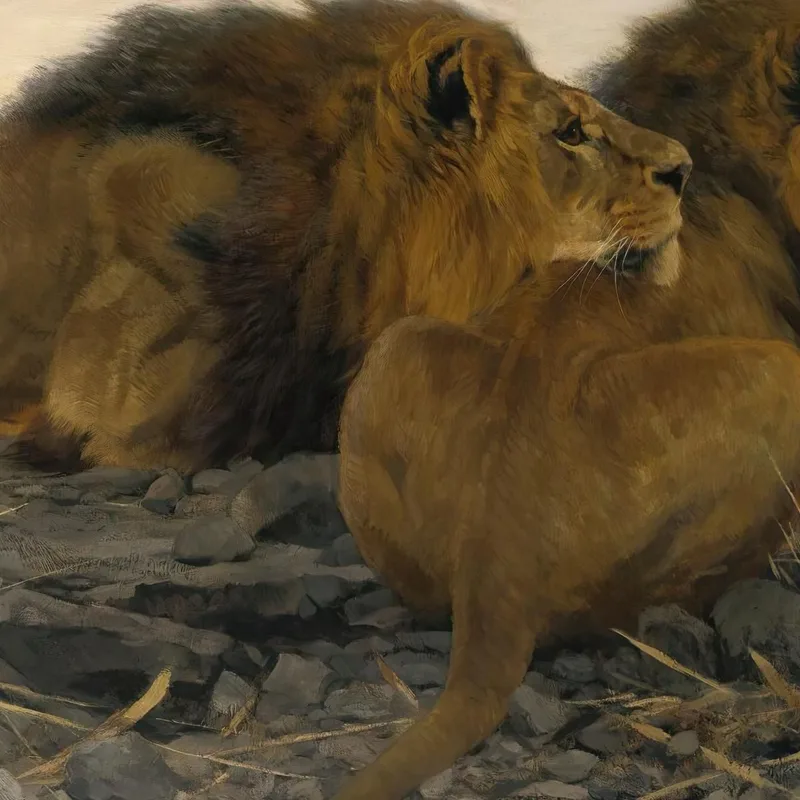 Lions En Garde Wilhelm Kuhnert