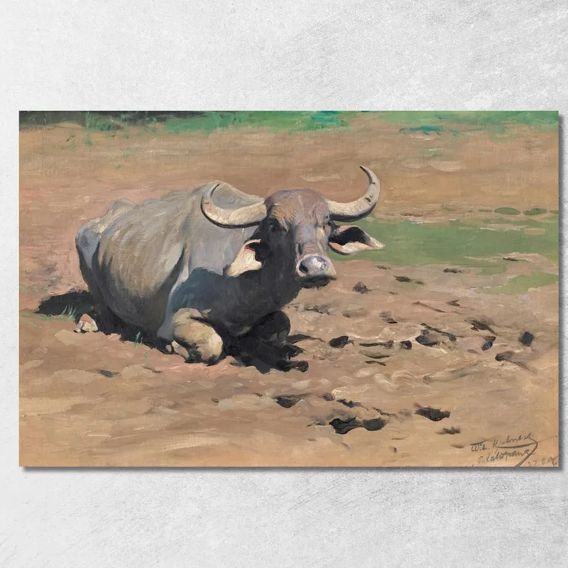 Bufalo A Riposo Wilhelm Kuhnert quadro stampa su tela