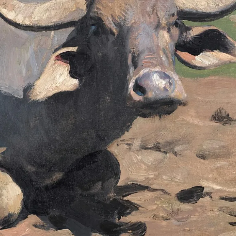 Bufalo A Riposo Wilhelm Kuhnert