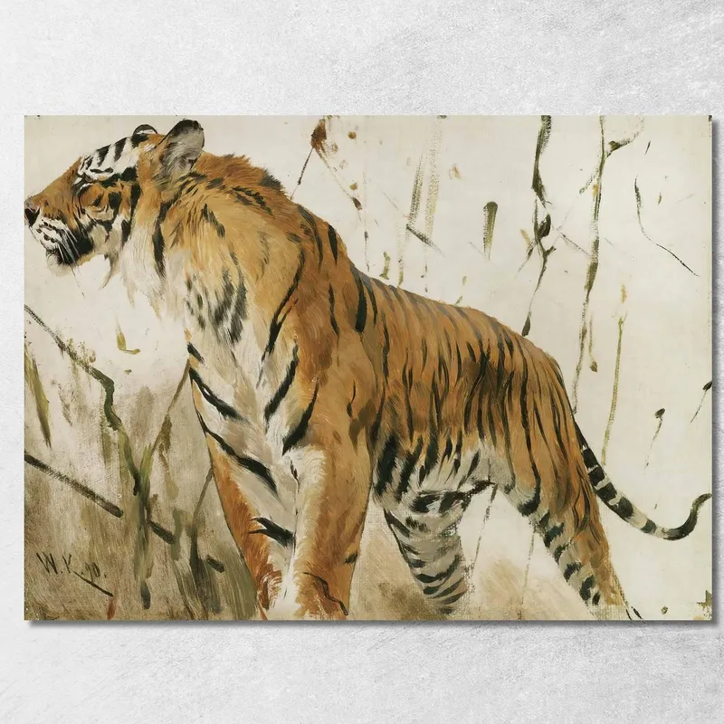 Studio Di Una Tigre Wilhelm Kuhnert quadro stampa su tela