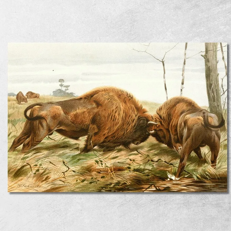Il Bisonte Europeo Wilhelm Kuhnert quadro stampa su tela