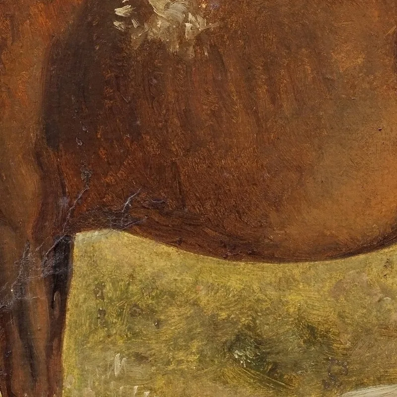 Rosinante. Étude D'Un Vieux Cheval Debout Wilhelm Marstrand