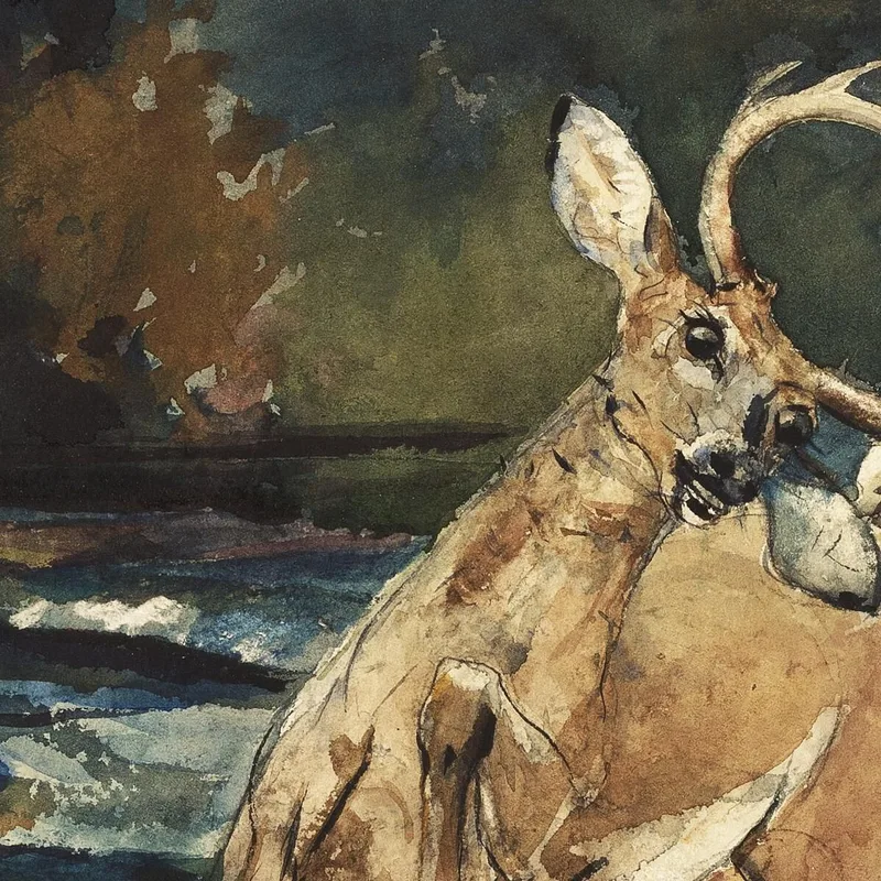 Un Bel Colpo Adirondacks Winslow Homer