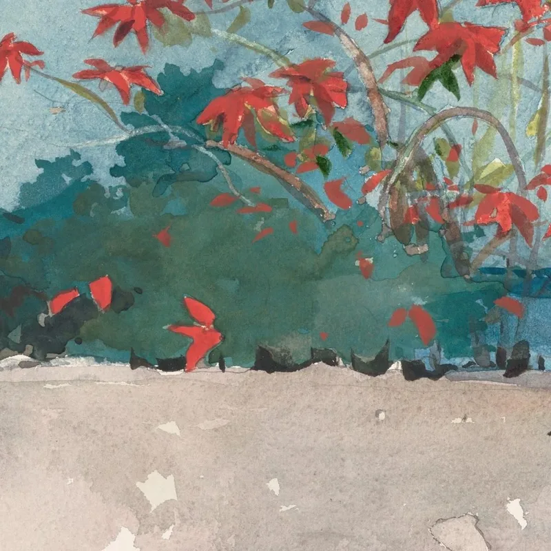 Un Muro Di Nassau Winslow Homer