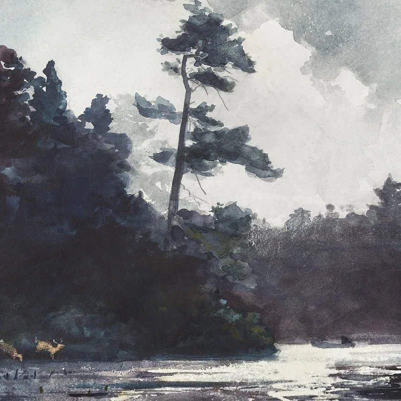 Adirondack-See Winslow Homer