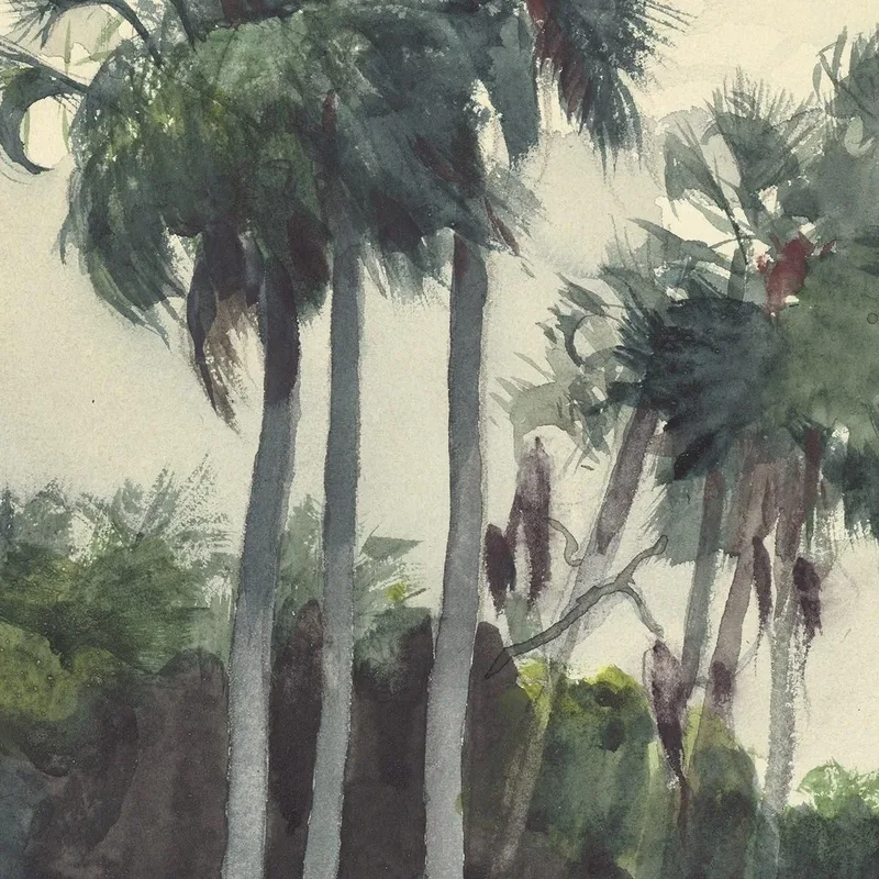 Camicia Rossa Homosassa Florida Winslow Homer