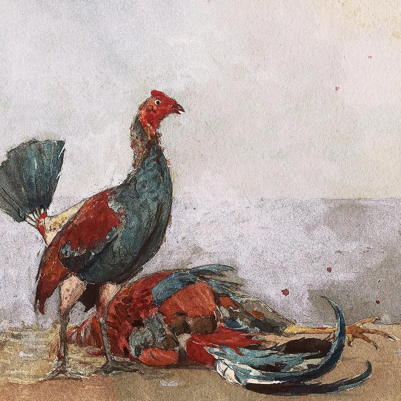 Der Hahnenkampf Winslow Homer