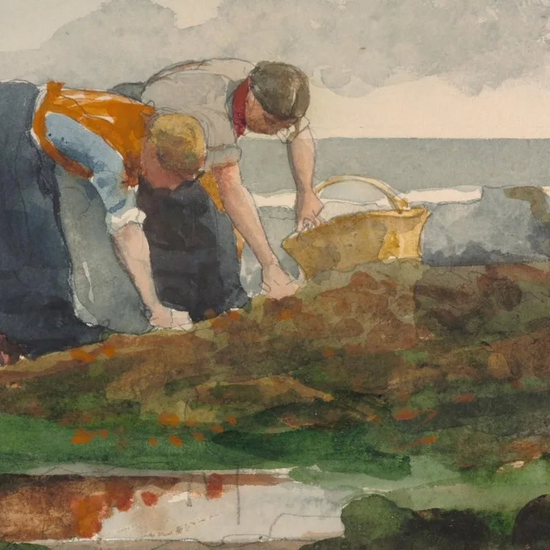 Die Muschelsammler Winslow Homer