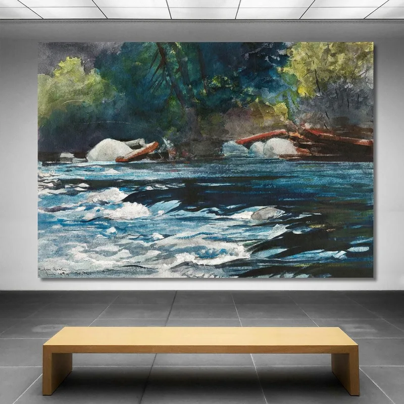 Le Rapide Del Fiume Hudson Adirondacks Winslow Homer