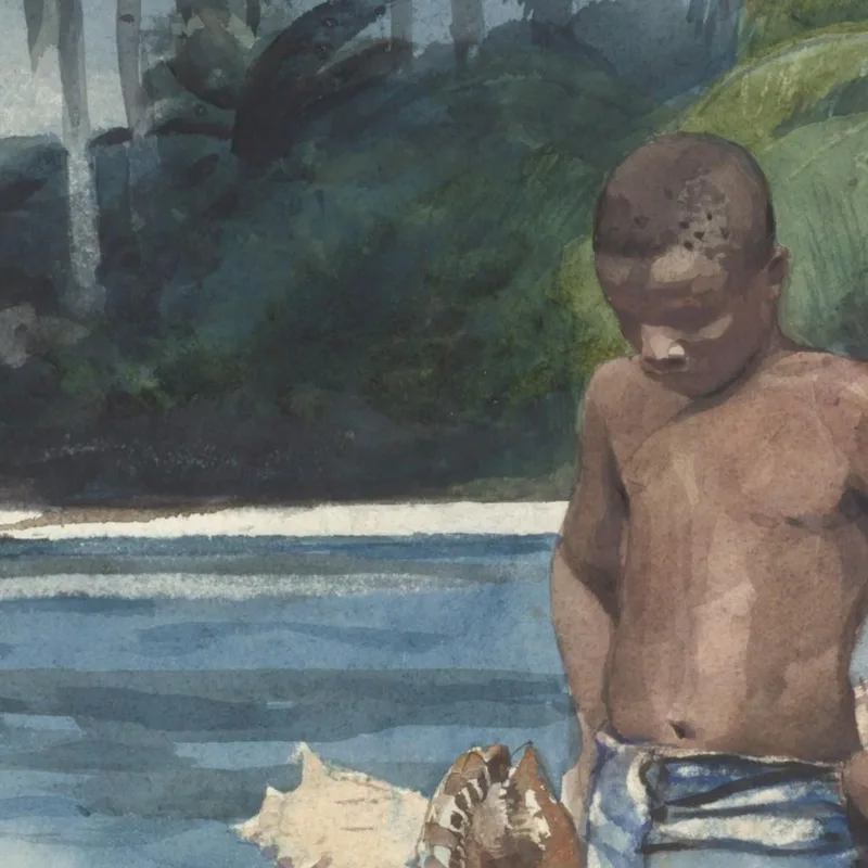 Subacquei Dell'India Occidentale Winslow Homer