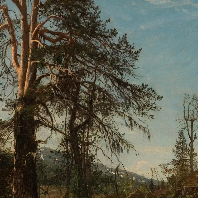 In Vingerasheia Telemark Amaldus Nielsen