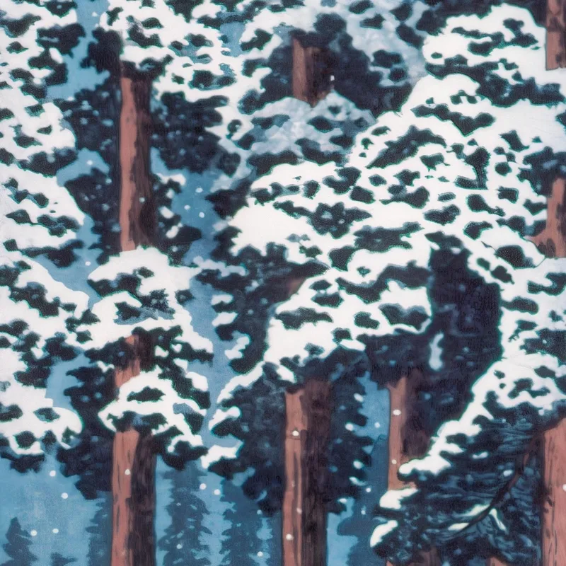 Strada Alberata Di Cedri A Nikko Hiroaki Takahashi