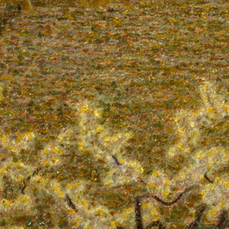 Campo En Flor G. Pellizza da Volpedo