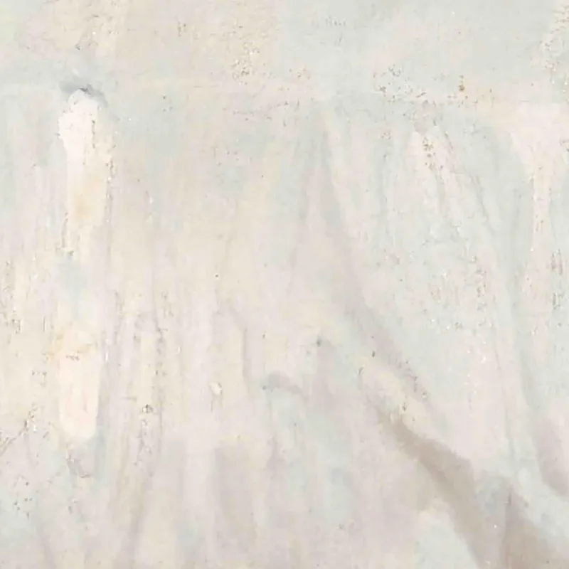 El Retrato De Santina Negri G. Pellizza da Volpedo