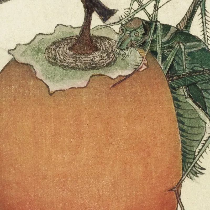 Fruit De Kaki Avec Sauterelle katsushika hokusai
