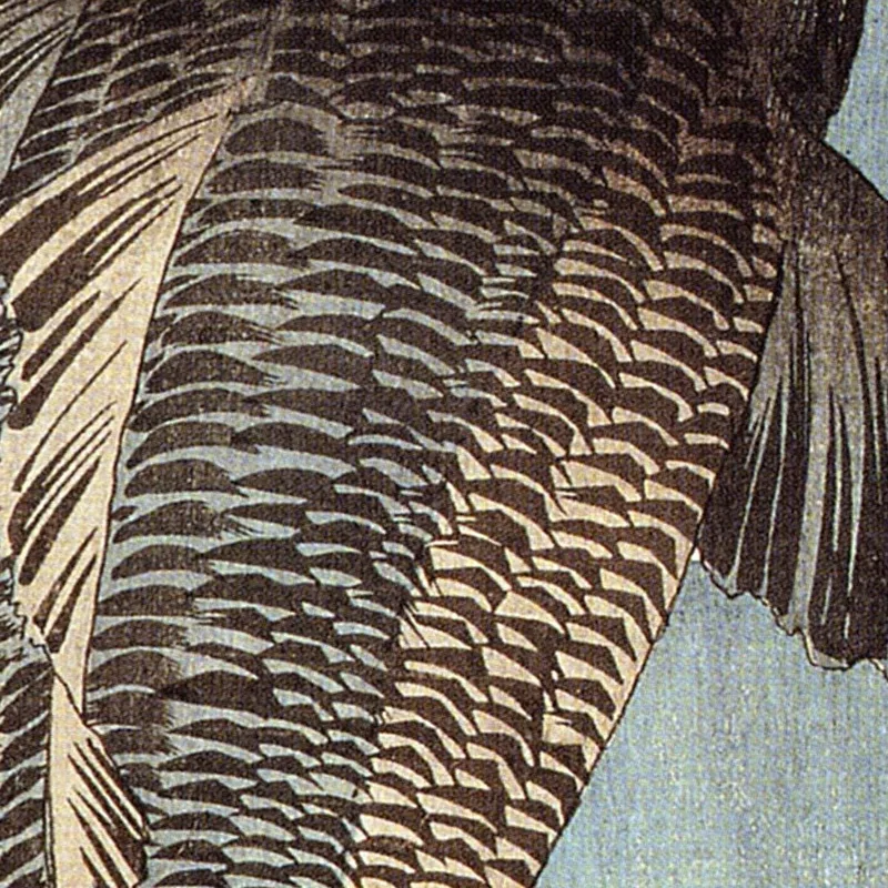 Carpa Nera Utagawa Kuniyoshi