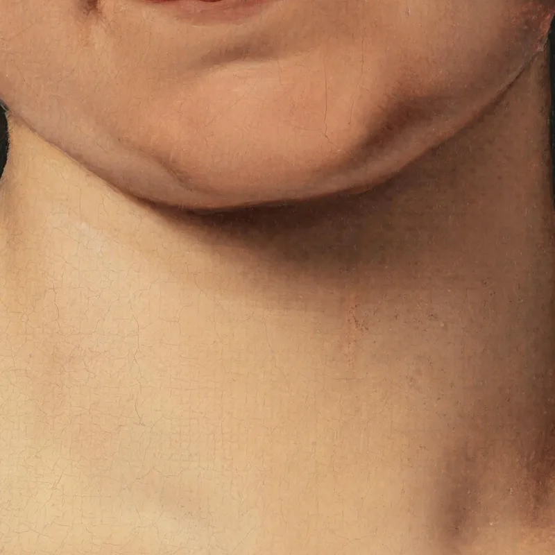 Portrait De Francesca Majnoni D’Intignano Francesco Hayez